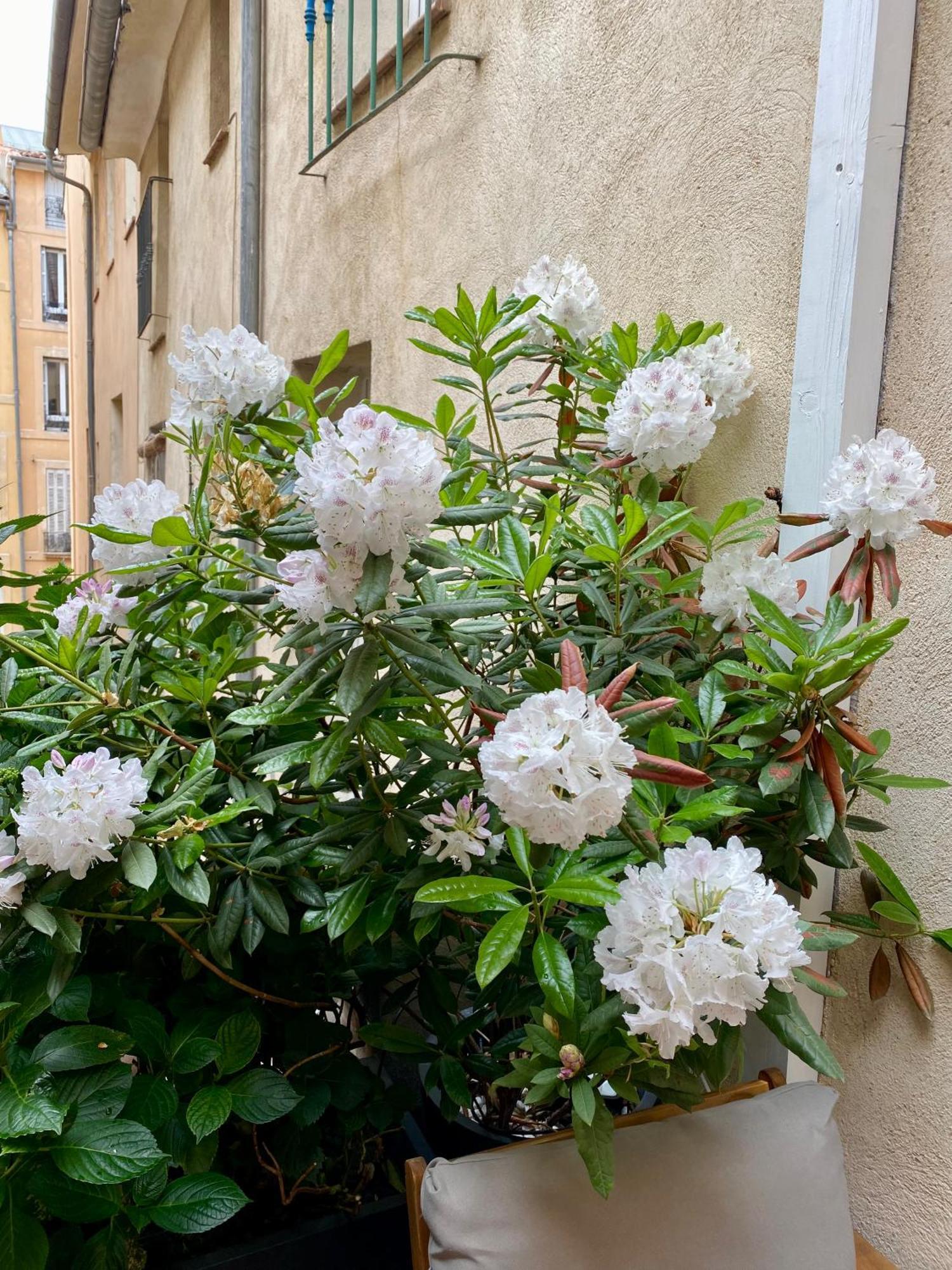 Appartement Luxe Terrasse Climatisation Centre D Aix Aix-en-Provence Kültér fotó